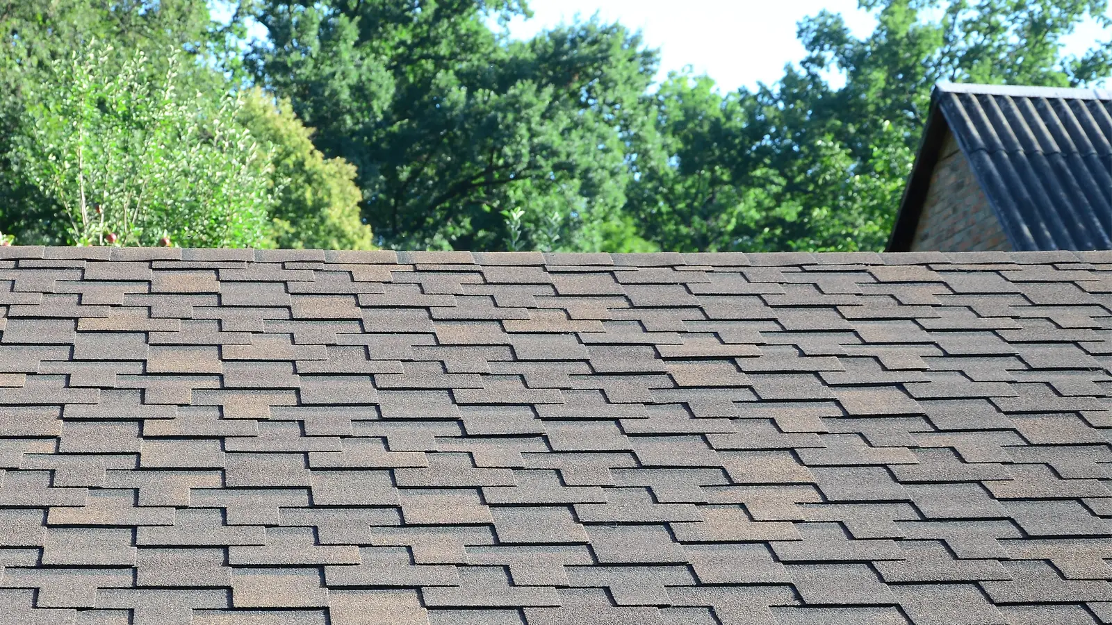 Class 4 impact resistant shingle installation in Castle Rock Colorado